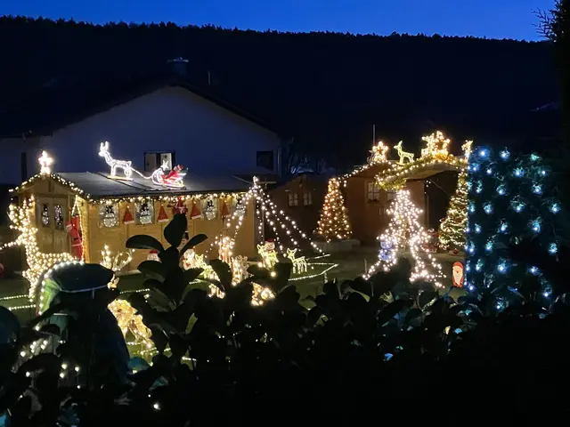 Winterstimmung | Foto: Ich