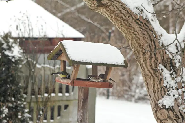 Foto: Emilia Baczynska