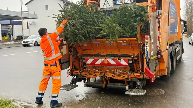 Die Entsorgungsbetriebe Speyer sammeln in der Woche ab Montag, 12. Januar, jeweils am regulären Müll- beziehungsweise Gelber-Sack-Abfuhrtag die abgeschmückten Weihnachtsbäume ein | Foto: Stadtwerke Speyer