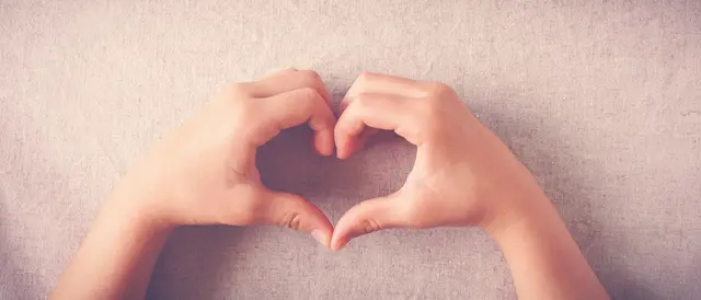 Foto: SewcreamStudio/stock.adobe.com