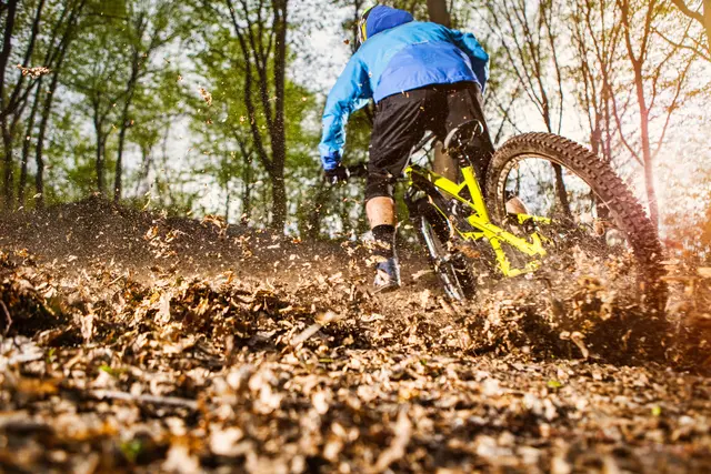 Mountainbike Weinbiet: Legalisierung der Trails im Stadtwald gestartet | Foto: takoburito / stock.adobe.com