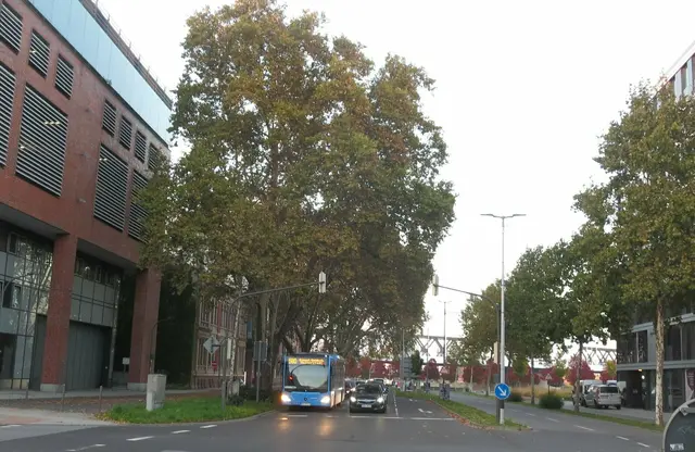An dieser großen Kreuzung im Stadtgebiet kollidierte das Auto mit mehreren Ampelmasten sowie mit einer Wand eines Gebäudes.  | Foto: Julia Glöckner