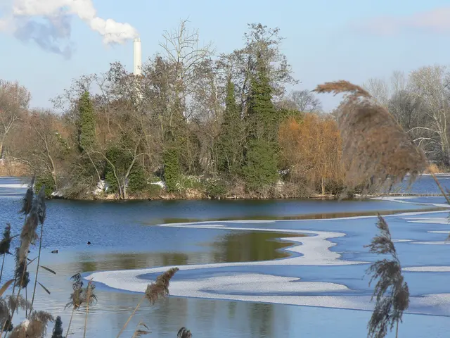 Foto: GUBO