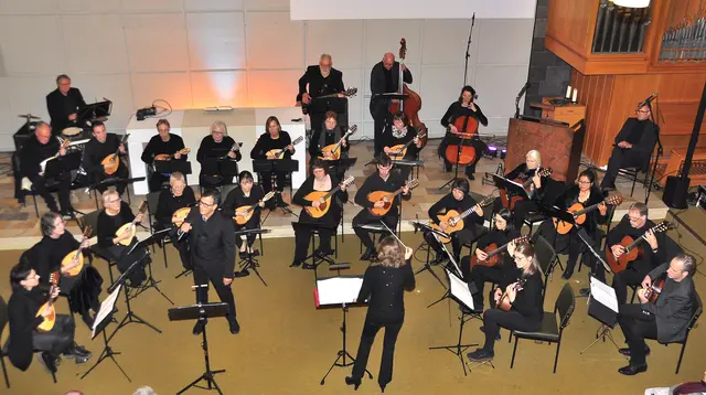 Zupforchester Essingen  | Foto: Frieder Wambsganß/frei