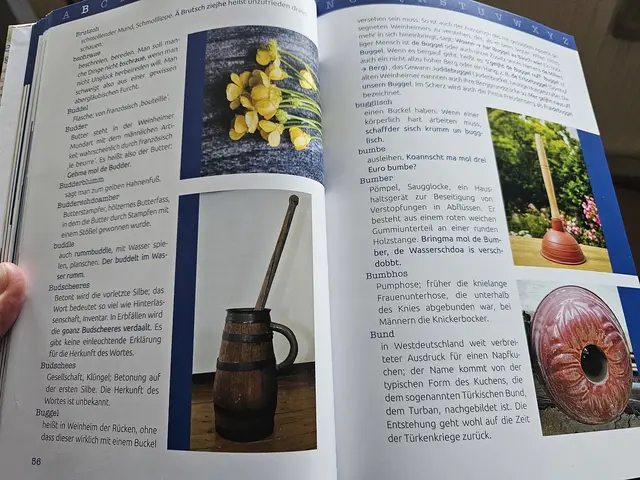 Weinheimer Wörterbuch | Foto: Michael Landgraf