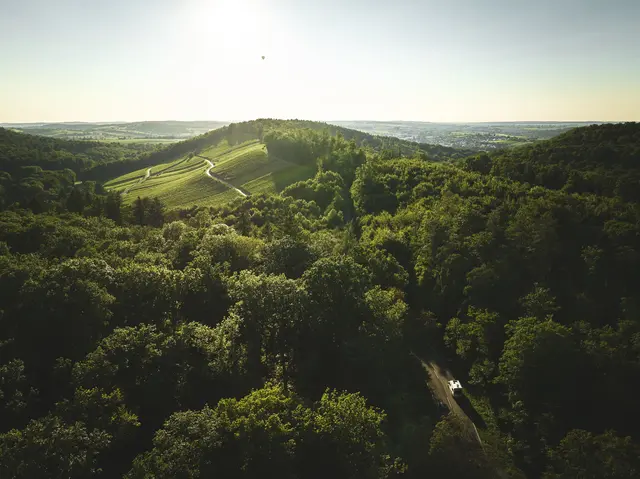 Typisch Land der 1000 Hügel: Dieses Hügelexemplar bei Bretten ist wie gemacht fürs Radeln, Wandern und Entdecken.  | Foto: Tourimia Tourismus GmbH | Stefan Leitner