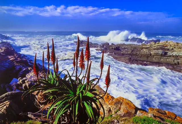 Stefan Weindl zeigt „Bilder unserer Erde“ im Saalbau Neustadt - hier ein Foto entlang der Garden Route | Foto: Stefan Weindl