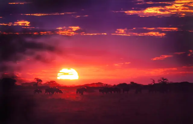 Panorama-Multivision entführt ins südliche Afrika - hier Etosha National Park | Foto: Stefan Weindl