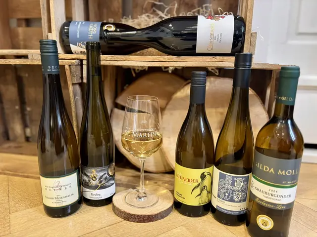 Das Weinpaket enthält sieben Weine von St. Martiner Winzer zum Probieren und Genießen.  | Foto: Tourist-Info St. Martin