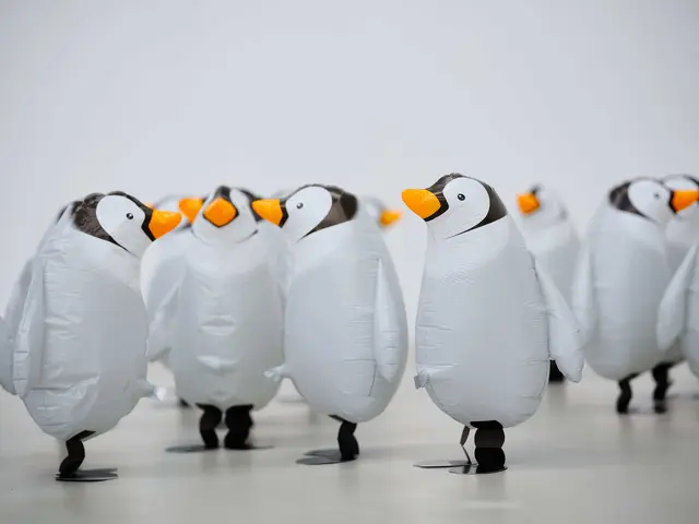 Installationsansicht: The Birds, Benedicte Bjerre, 2025  | Foto: Kunsthalle Mannheim Elmar Witt