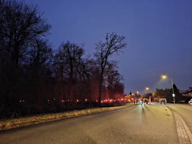 Ab in den Wald mit dem Fackelumzg | Foto: Brigitte Melder
