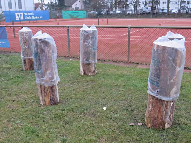 Vor Regen geschützt | Foto: Brigitte Melder