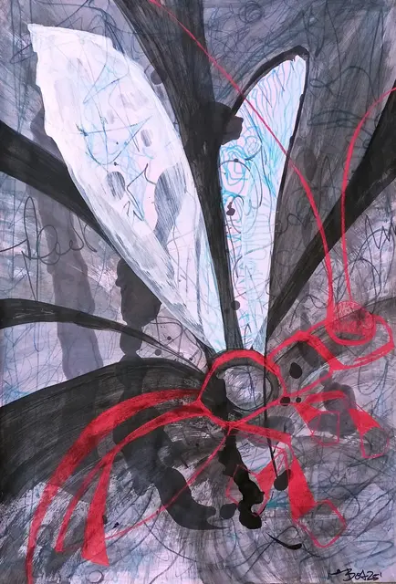 Dragonfly | Foto: Judith Boy