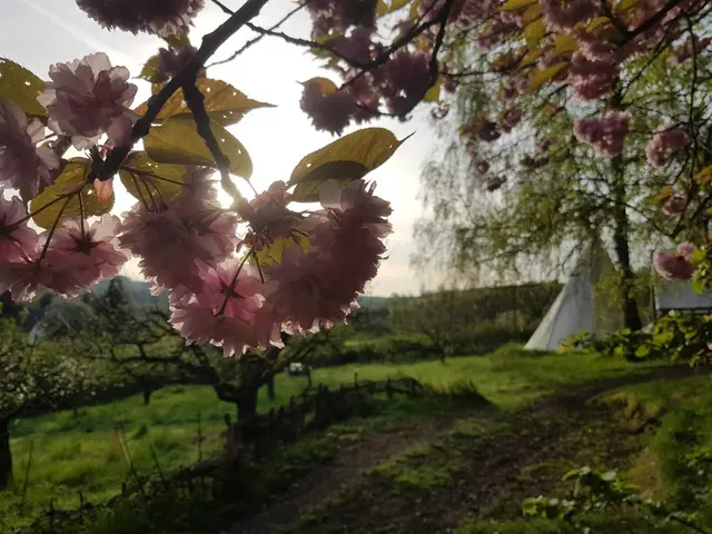 Jahreszeiten erleben | Foto: M.Christmann-Koch