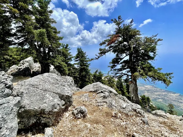 Das Aenos-Massiv erhebt sich als höchster und markantester Berg der Ionischen Inseln, geprägt von schroffem Kalkgestein und den charakteristischen Kefalonischen Tannen. Zwischen Himmel, Wind und Weitblick öffnet sich hier eine karge, eindrucksvolle Landschaft von großer stiller Präsenz.
 | Foto: Daniel J. Basler
