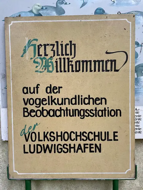 Unter dem Motto „Natur – er-leben und schützen“ lädt die ORBEA Ludwigshafen auch in diesem Jahr zu einer Vortragsreihe ein, die sich aktuellen Fragen rund um Biodiversität sowie Natur- und Artenschutz widmet. Veranstaltungsort ist die ORBEA-Station im Maudacher Bruch, einem ökologisch wertvollen Natur- und Erholungsraum im Süden Ludwigshafens. Die Vorträge finden jeweils von 10:00 bis 12:00 Uhr statt. Willkommen sind alle Interessierten – von Naturfreundinnen und Naturfreunden über Familien bis hin zu Schulklassen und Gruppen. Der Eintritt ist frei, Spenden sind willkommen.  | Foto: Foto: ORBEA 