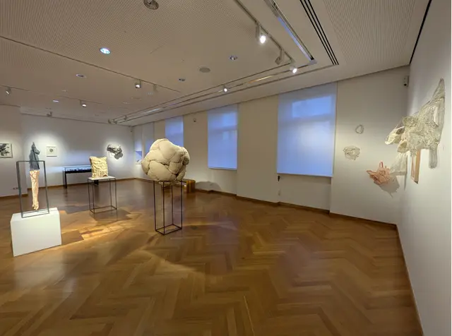 Impression der aktuellen Wechselausstellung "KUNST - STOFF . Positionen zeitgenössischer textiler Kunst" | Foto: Forum ALTE POST