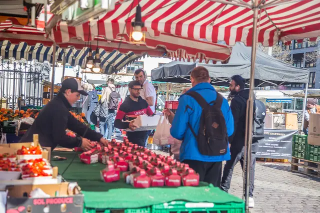 Mannheim Innenstadt Markt | Foto: Roland Kohls