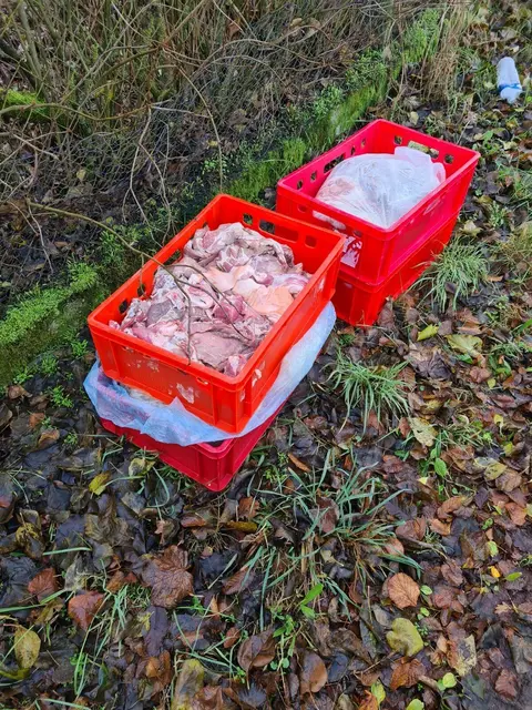 Neue Zuständigkeiten für die Abholung von Schlachtabfällen. | Foto: Stadt Speyer