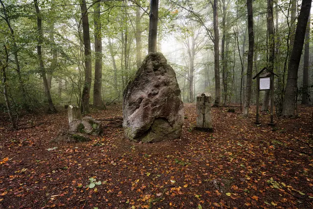 Wanderfreunde und Trailrunning-Fans dürfen am 29. März 2026 ihre sportliche Frühform unter Beweis stellen und sich beim „10. Hinkelstein Wandermarathon /Trail“ auf einen spannenden Outdoor-Event freuen | Foto: Martin Koch/gratis