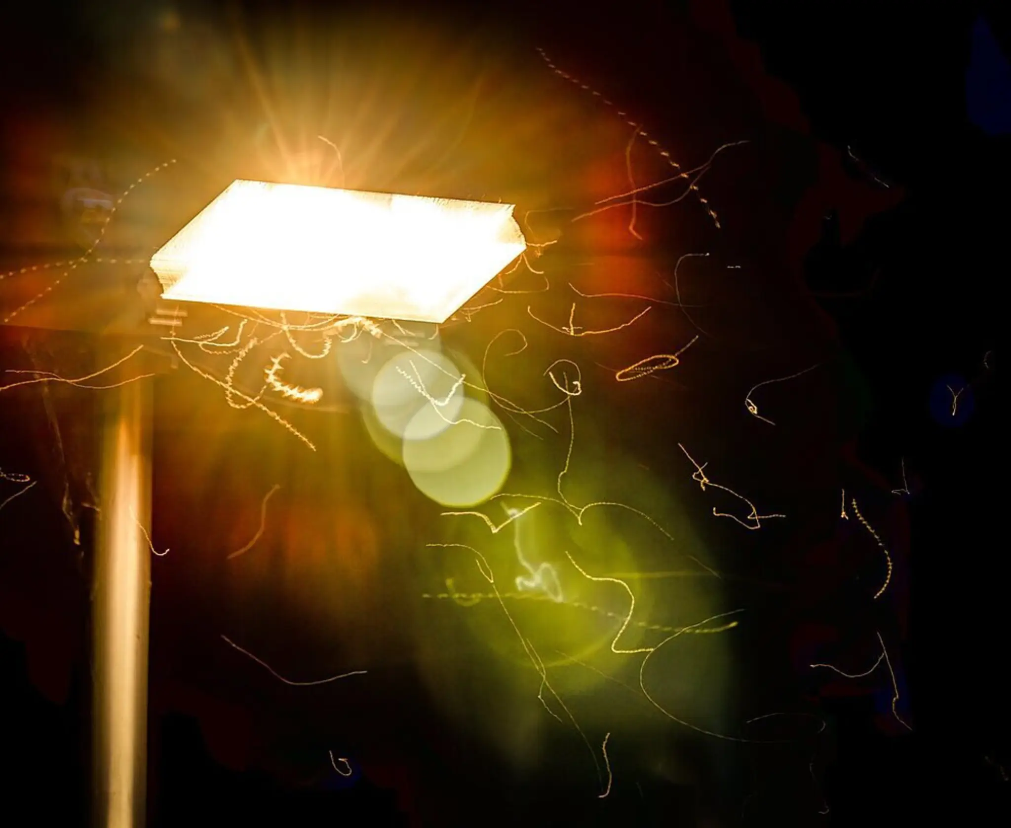 Lichtverschmutzung-Weniger-ist-mehr-in-Karlsruhe