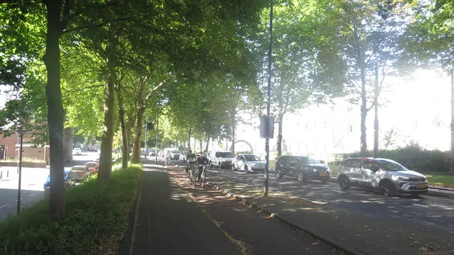 Schwammstädte: Urbane Waldgärten, verschattete Straßen und Plätze, Wasserbecken und Gründächer: Mit der Schwammstadt soll der aus den Fugen geratene Wasserkreislauf wiederhergestellt werden, um mit Verdunstungskühle das Mikroklima zu verbessern. | Foto: Julia Glöckner