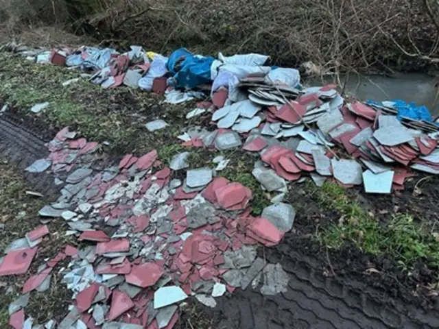 Die Platten wurden unmittelbar am Bachlauf des Aschbachs entladen | Foto: Polizeiinspektion Waldfischbach-Burgalben