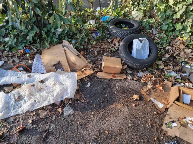 Foto: Stadtfüchse LU Süd/Mundenheim