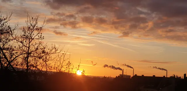 Foto: Karin Bandomir