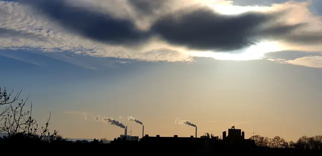 Foto: Karin Bandomir