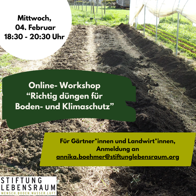 Foto: Annika Böhmer