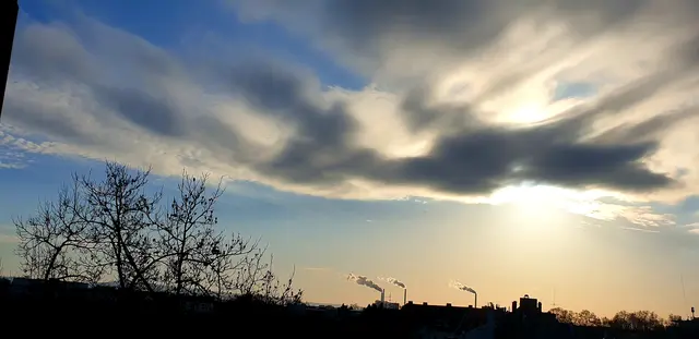 Foto: Karin Bandomir