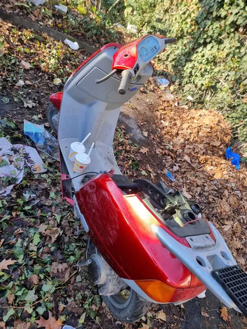 Foto: Stadtfüchse LU Süd/Mundenheim