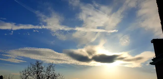 Foto: Karin Bandomir