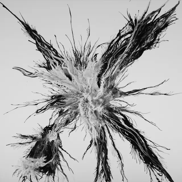 Illia Siutkin, Sans Titre 1, 2025, Acryl und Acryltusche auf Leinwand, 120 x 120 cm | Foto: Galerie Peter Zimmermann