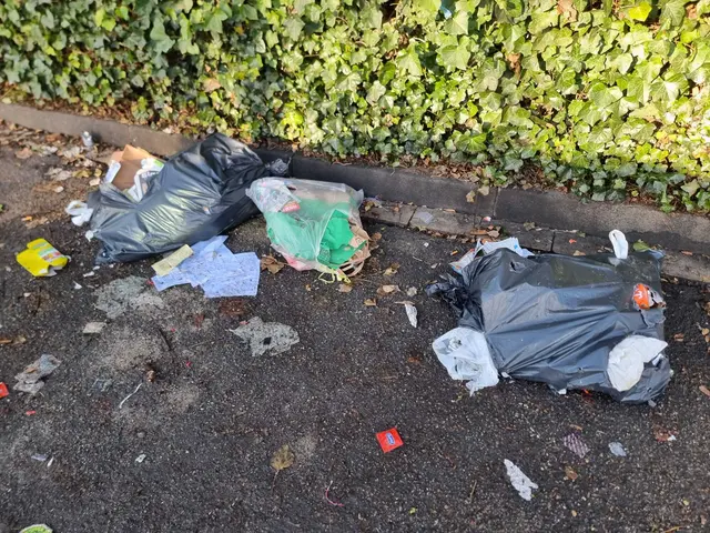 Foto: Stadtfüchse LU Süd/Mundenheim