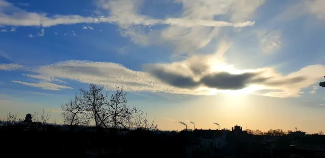 Foto: Karin Bandomir