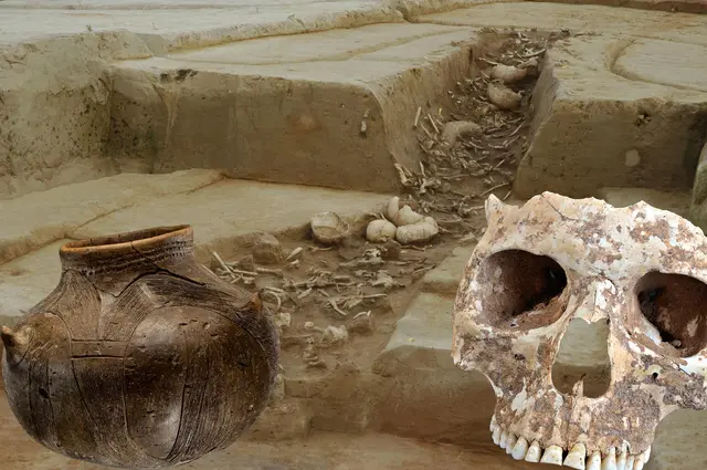 Collage Dr. Andrea Zeeb-Lanz | Foto: Dr. Andrea Zeeb-Lanz 