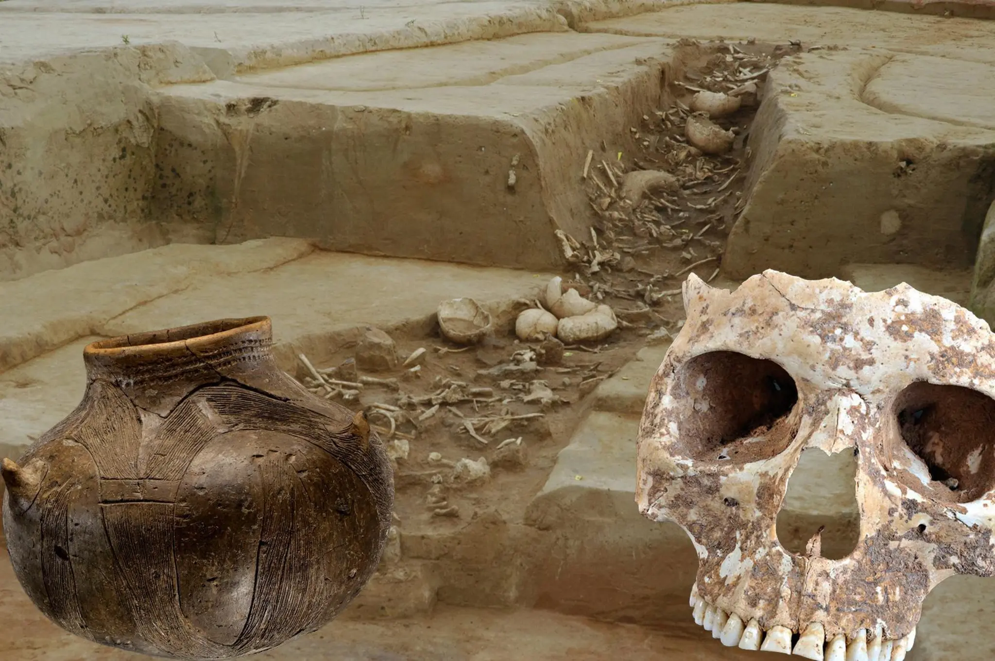 Der-r-tselhafte-jungsteinzeitliche-Ritualort-von-Herxheim-bei-Landau