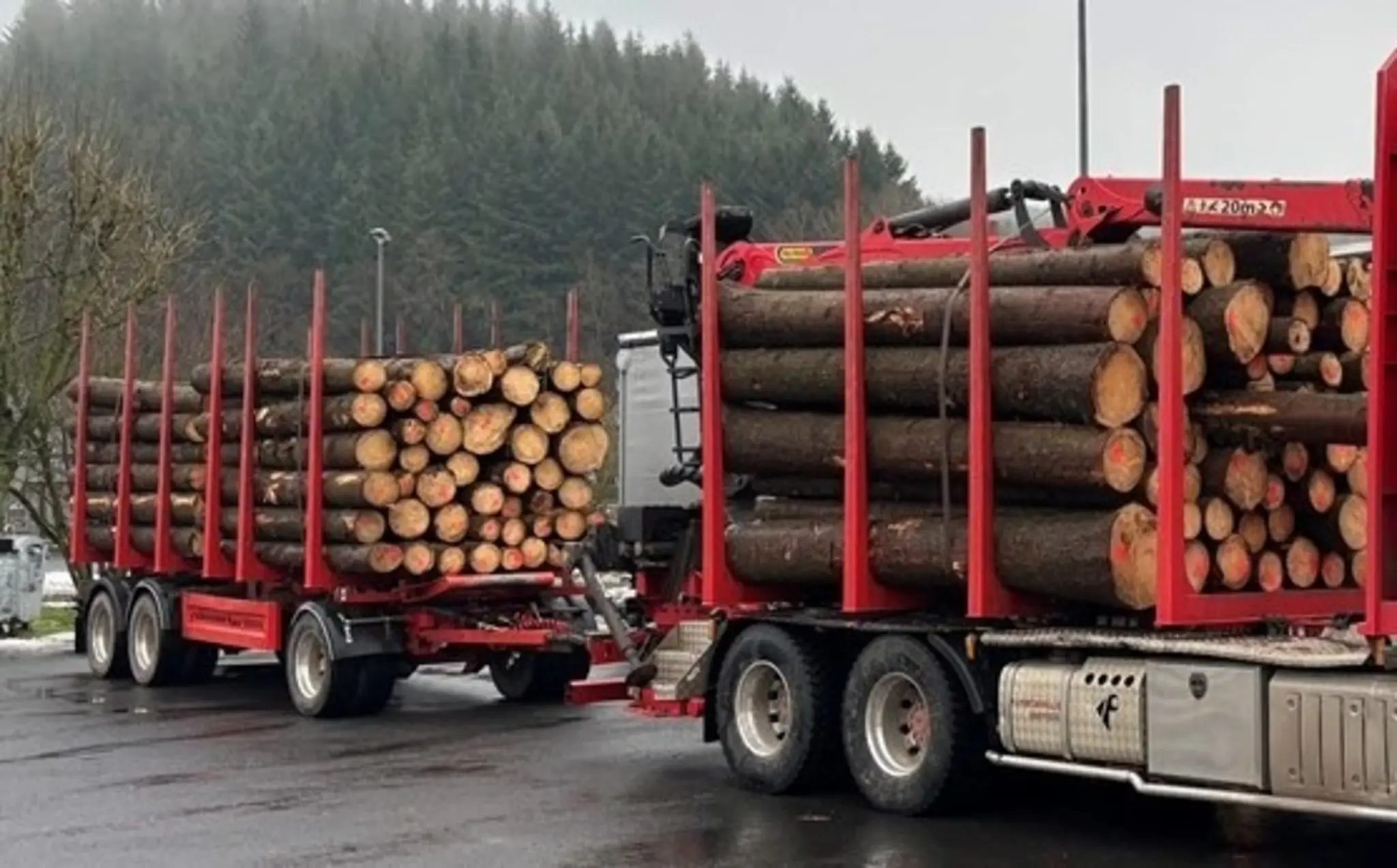 Schwerlastkontrollen-Mehrere-Holztransporte-stark-berladen