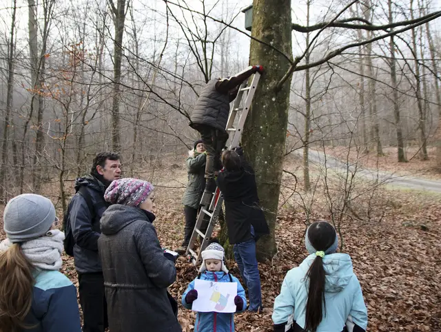 Reinigung der Vogelkästen im RuheForst KL | Foto: J. Reincke | NABU-KL