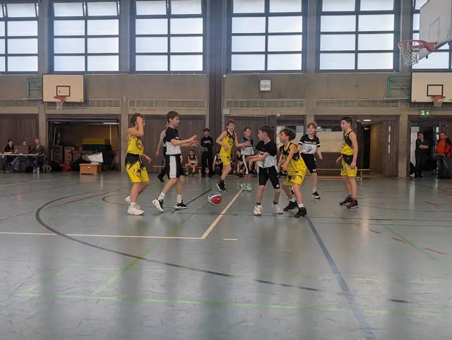 Foto: Gorilla Haßloch