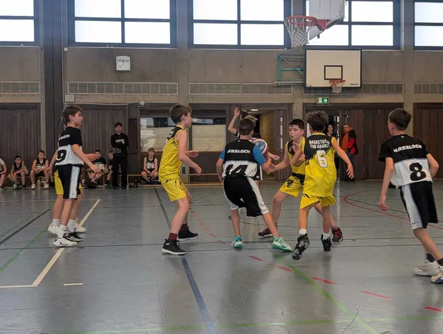 Foto: Gorilla Haßloch