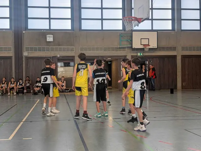 Foto: Gorilla Haßloch