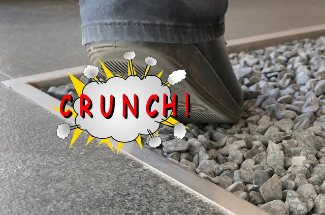 Crunch im Pfalzmuseum für Natur. | Foto: Pfalzmuseum Bad Dürkheim