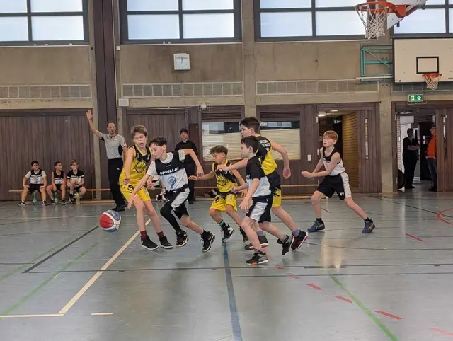 Foto: Gorilla Haßloch