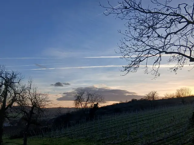 Foto: ELISABETH WEBER