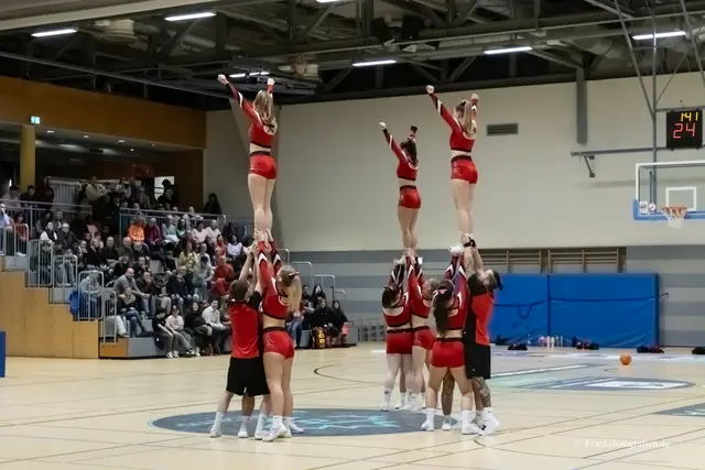 Foto: © Franksfotografien.de