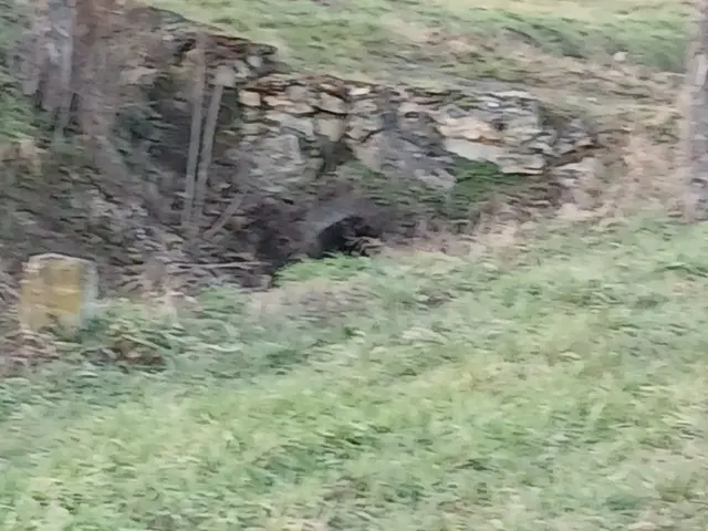 Foto: ELISABETH WEBER