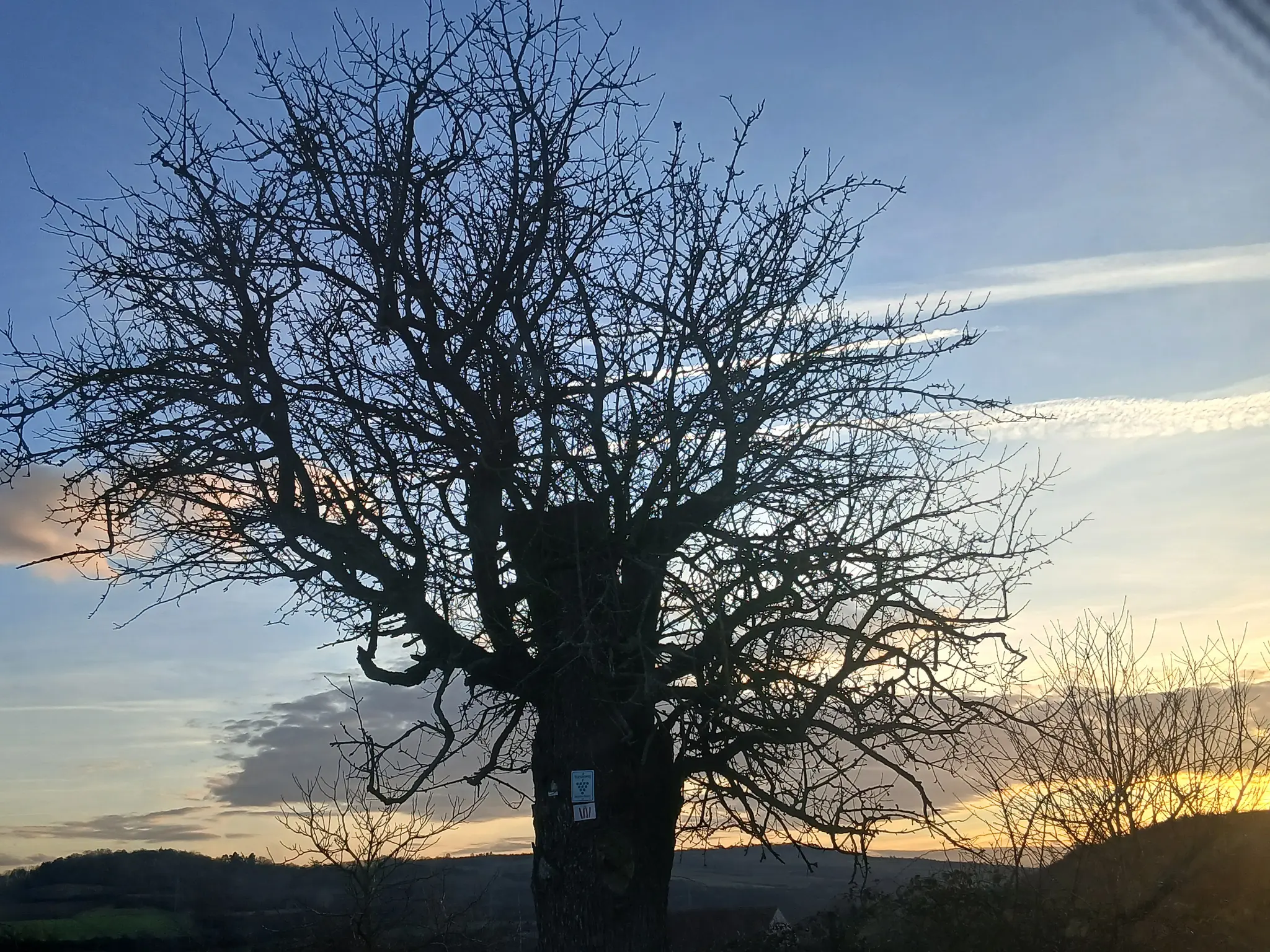 Ist-FRIEDE-k-uflich-